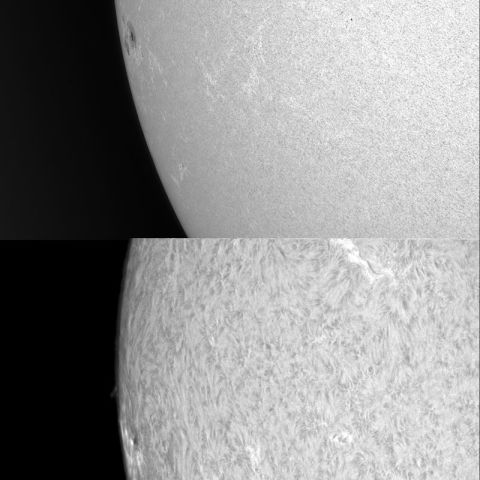 東縁から現れた黒点群