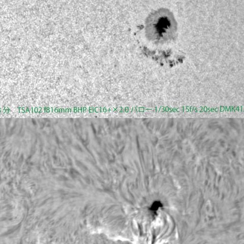 ８月３０日の太陽黒点