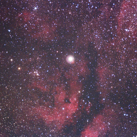 白鳥座サドル付近