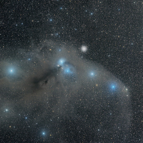 NGC6726 アリクイ星雲/リコリモ RA101