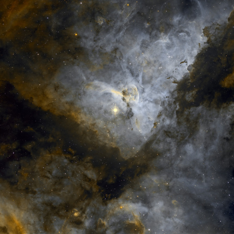 NGC3372 イータカリーナ星雲/リコリモ RA501