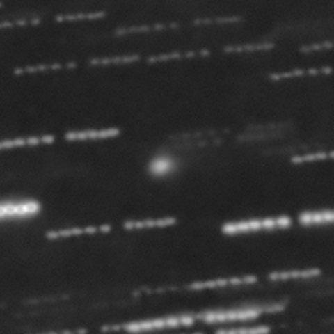 3I/ATLAS彗星／リコリモ RA501