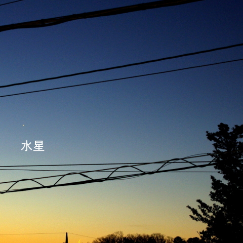 金星と水星に、月齢28の共演