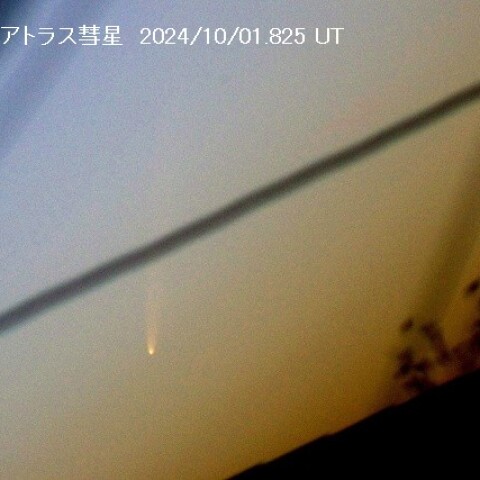 紫金山・アトラス彗星