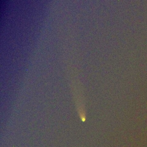 紫金山・アトラス彗星