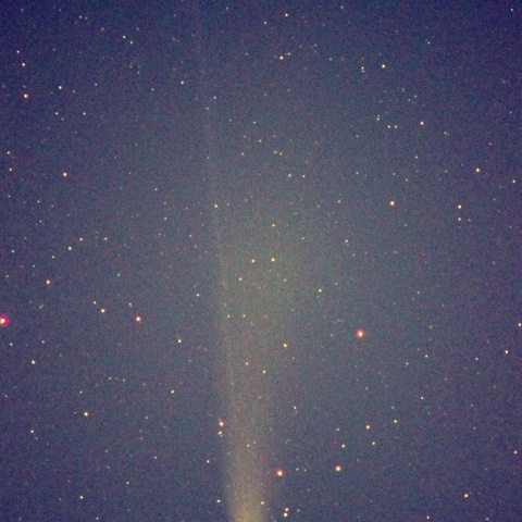 レモン彗星（2025 A6）