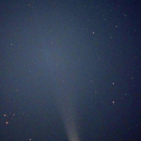 レモン彗星(2025 A6)