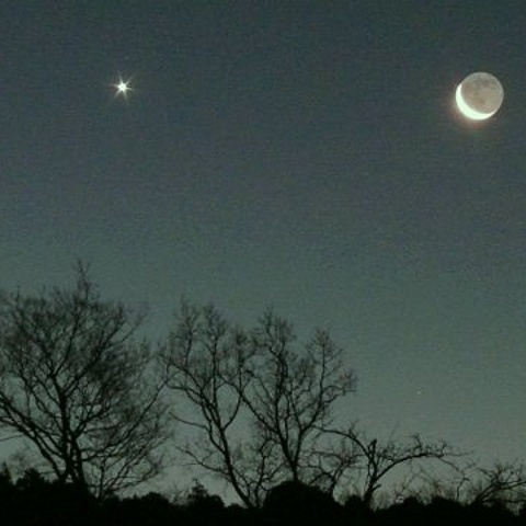 月と金星