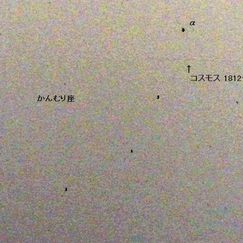 コスモス 1812号