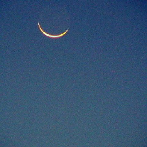 細い月と金星