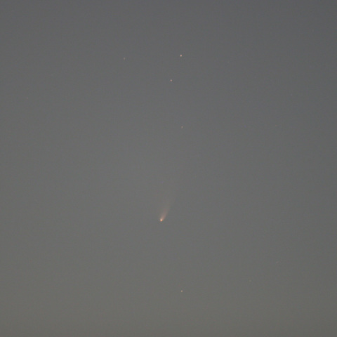 暗くなったけど尾は立派！パンスターズ彗星