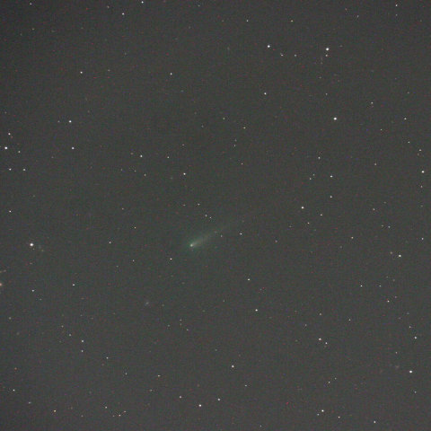 初見参！アイソン彗星