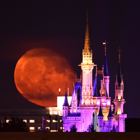 月齢18.3の月出と東京ディズニーランドのシンデレラ城