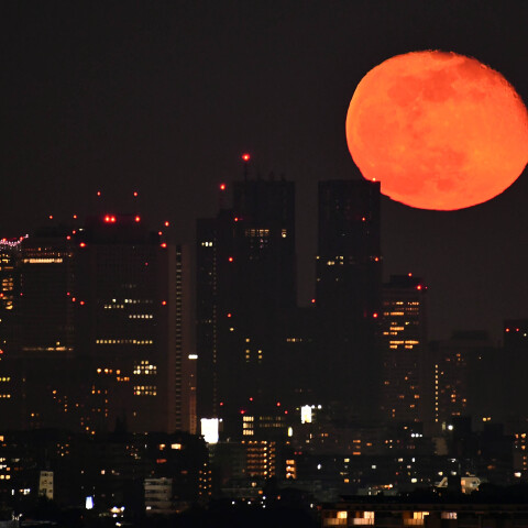 月齢16.4の月出と都庁・新宿高層ビル群