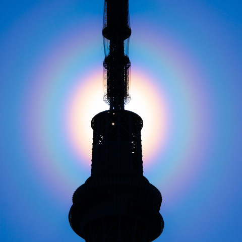 花粉光環 東京スカイツリーで