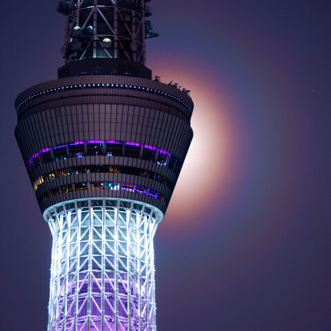 花粉月光環 東京スカイツリーで