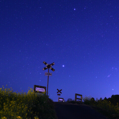 沈み行く冬の星座と菜の花　千葉いすみ鉄道 第二五之町踏切で