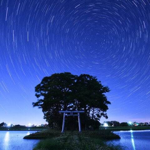 田んぼの中に鳥居がある風景と北天の日周運動