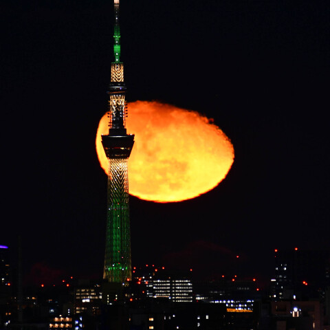 月齢18.2の月出と東京スカイツリー