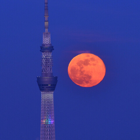 月出後の満月(ウルフムーン2025)と東京スカイツリー 渋谷スカイから