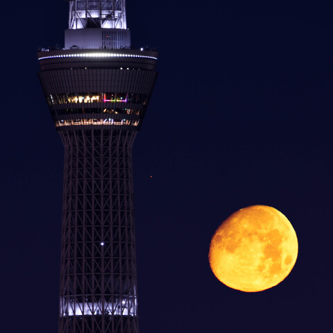 月と火星の接近と東京スカイツリー