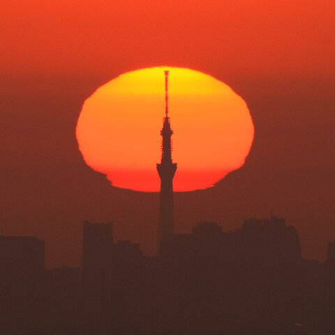 東京スカイツリーの背後に日の出 高尾山から