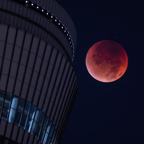皆既月食(2025年9月8日)、皆既中の月と東京スカイツリー天望デッキ