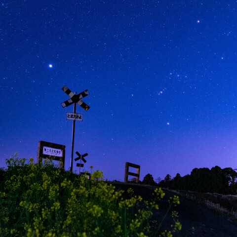 冬の星座と菜の花 千葉いすみ鉄道 第二五之町踏切で