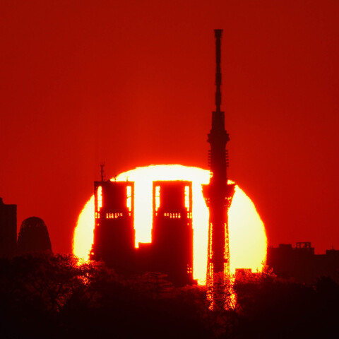 日の出と東京スカイツリーと都庁 東京都多摩市から
