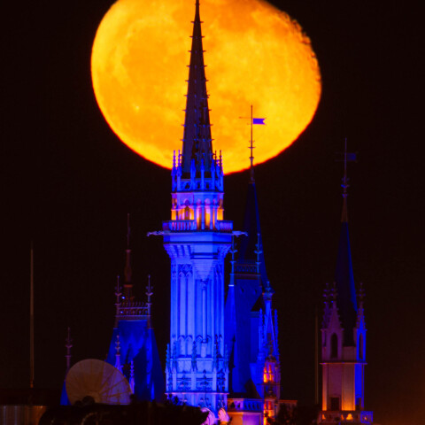 月齢18.1の月と東京ディズニーランドのシンデレラ城 葛西臨海公園から