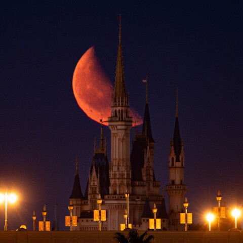 月齢23.2の月と東京ディズニーランドのシンデレラ城 葛西臨海公園から