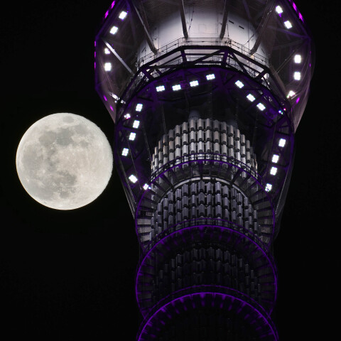 準スーパームーン・コールドムーンと東京スカイツリー 月齢15.3