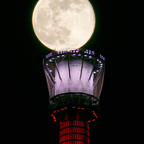 準スーパームーン・コールドムーンと東京スカイツリー 月齢15.1