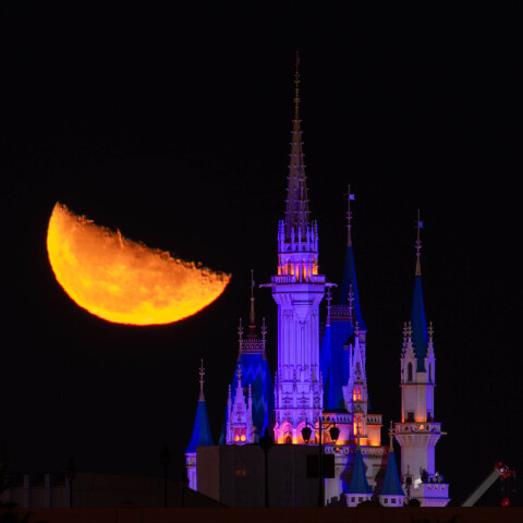 月齢21.8の月出直後の月と東京ディズニーランドのシンデレラ城 葛西臨海公園から