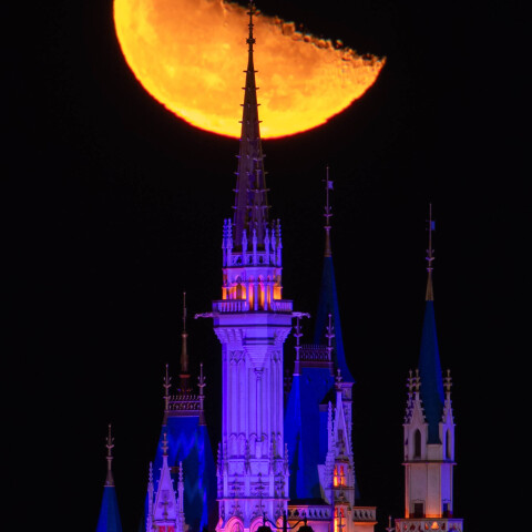 月齢21.8の月出直後の月と東京ディズニーランドのシンデレラ城 葛西臨海公園から