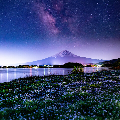 ネモフィラと天の川・富士山　河口湖 大石公園で