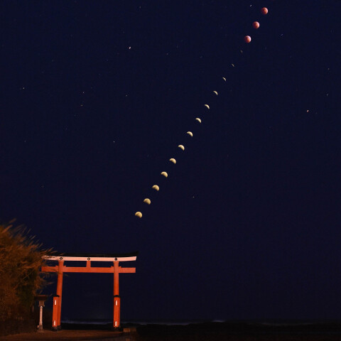 皆既月食(2026年3月3日)の連続写真と宮崎 青島神社の鳥居