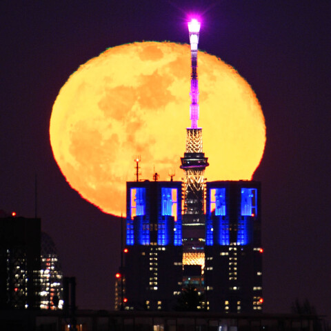 東京スカイツリーと東京都庁がぴったり重なって見える所から月齢15.6の月