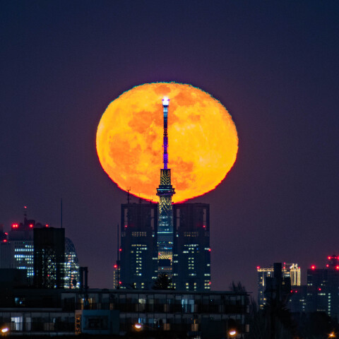 東京スカイツリーと東京都庁がぴったり重なって見える所から月齢15.6の月