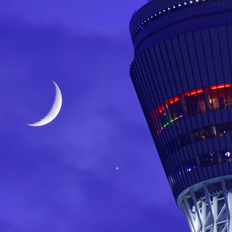 金星食後、月と金星の接近 東京スカイツリーと