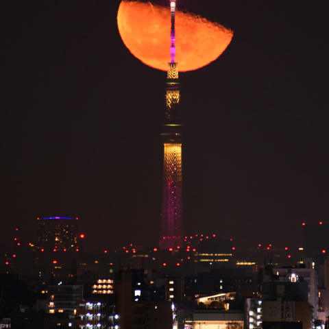 下弦の月出と東京スカイツリー