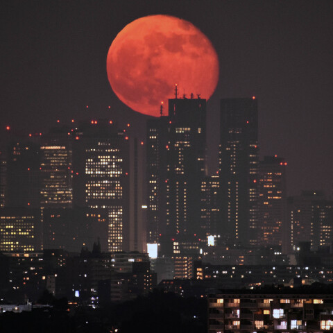 月齢15.9の月出と新宿高層ビル群