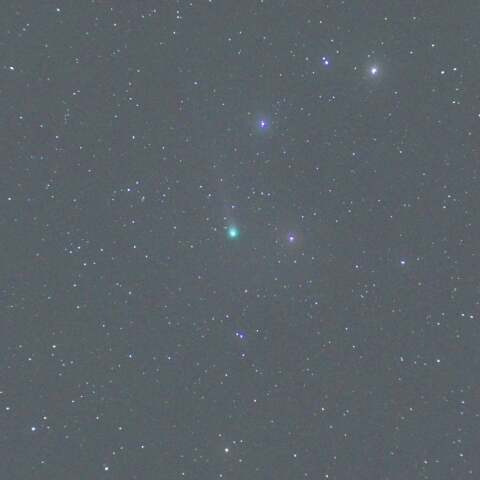 レモン彗星（C/2025 A6）