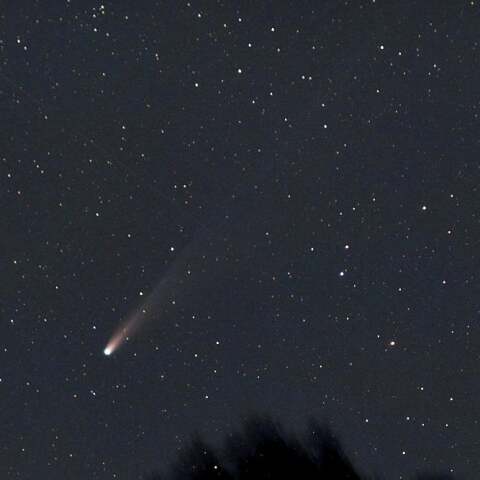 梢に沈みゆくレモン彗星