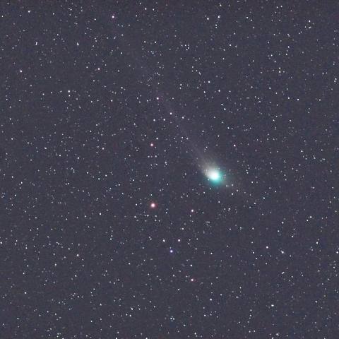 ZTF彗星（１月２６日３時２４分）