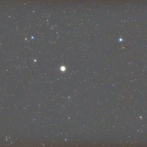 カペラに向かうZTF彗星