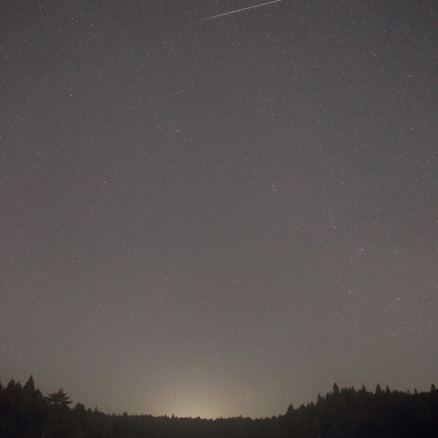 しぶんぎ座流星群　白鳥が眠る堤にて