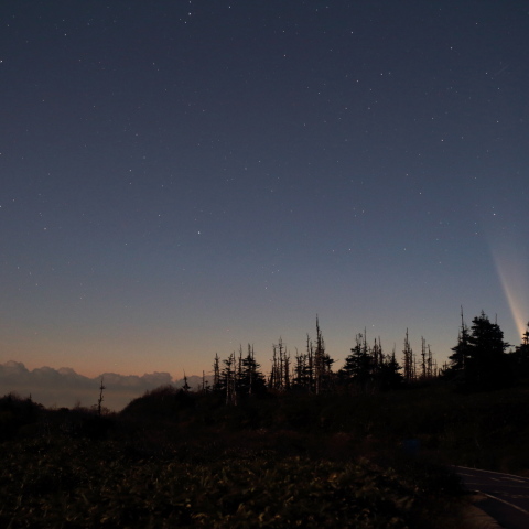 紫金山・アトラス彗星と金星