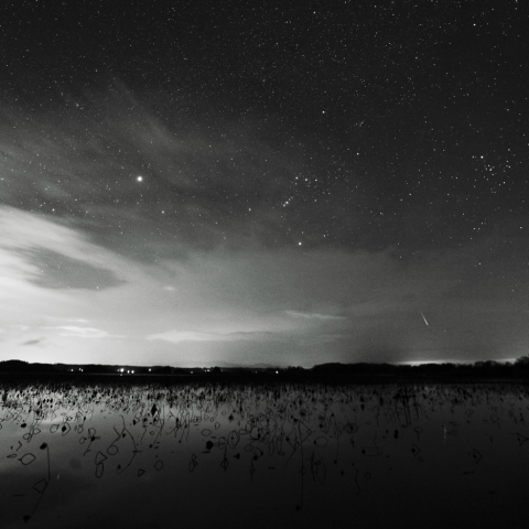 流れる星を映して