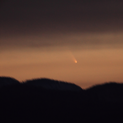 高度3度，奇跡的に雲間から出現：パンスターズ彗星